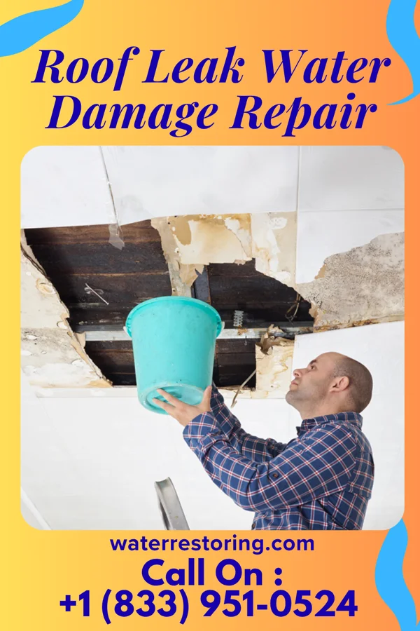 Roof Leak Water Damage Repair in Fairview Park, OH